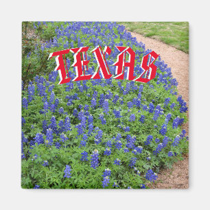 Texas bluebonnet magnet