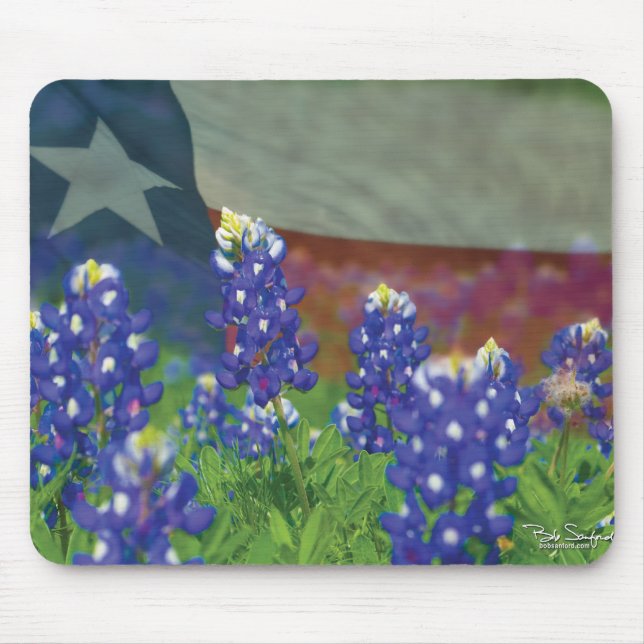Texas bluebonnet mouse pad (Front)