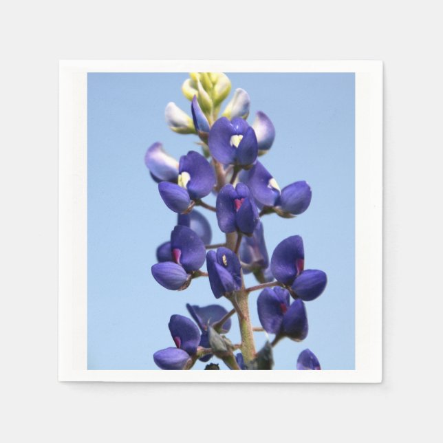 Texas Bluebonnet Paper Napkins (Front)