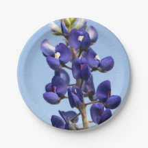 Texas Bluebonnet Paper Plates