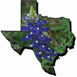 Texas Bluebonnet Pin Photo Sculpture Button<br><div class="desc">State of Texas filled with bluebonnet photo</div>