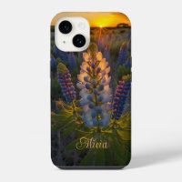 Texas Bluebonnet Sunset