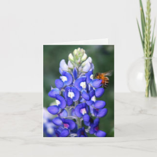 Texas Bluebonnet Thank You