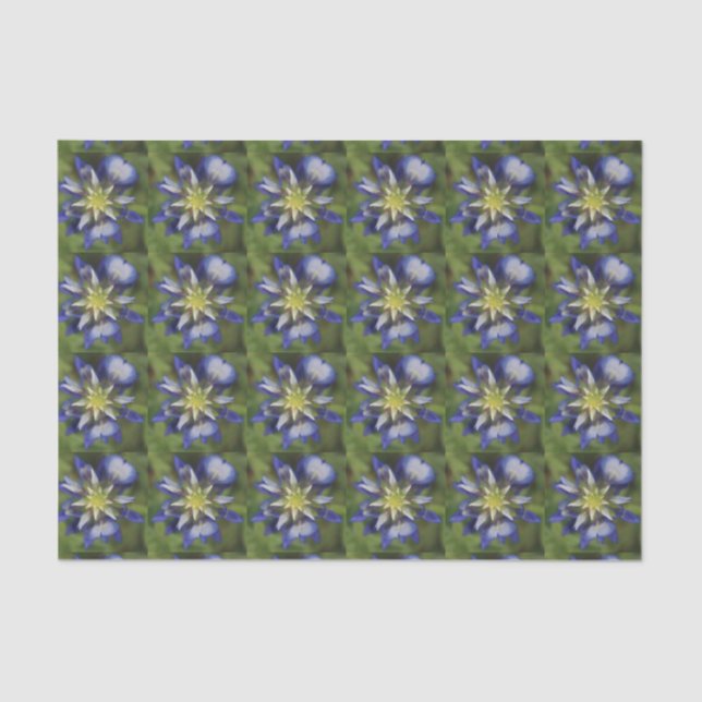 Texas Bluebonnet Tissue Paper (Front)