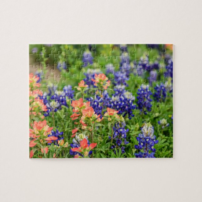 Texas Bluebonnets and Red Paintbrushes wildflowers Jigsaw Puzzle (Horizontal)