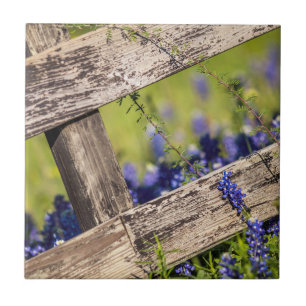 Texas Bluebonnets Around A Country Fence Tile