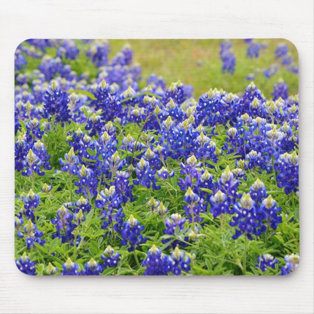 Texas Bluebonnets Art Mouse Pad (Front)
