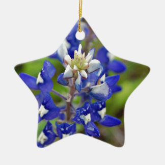 Texas Bluebonnets Ceramic Ornament