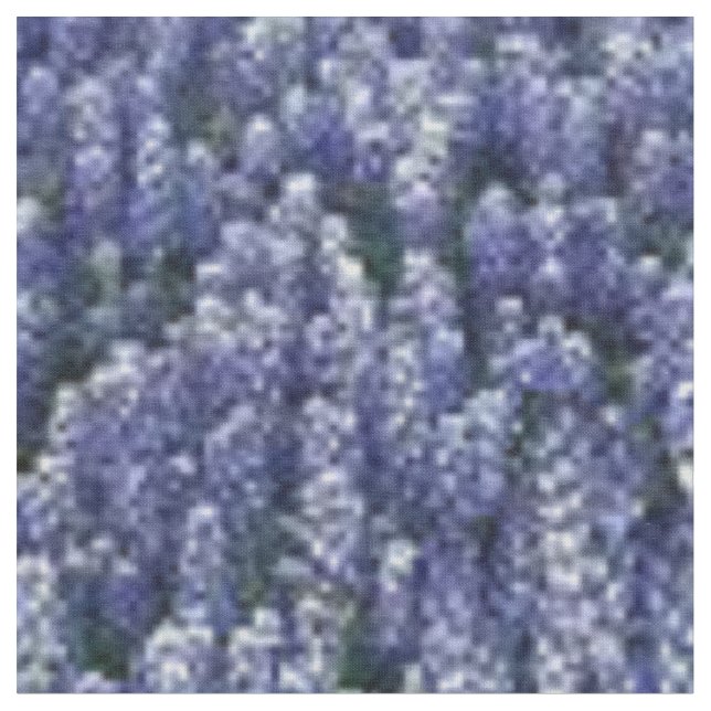 Texas Bluebonnets Fabric (Close Up)
