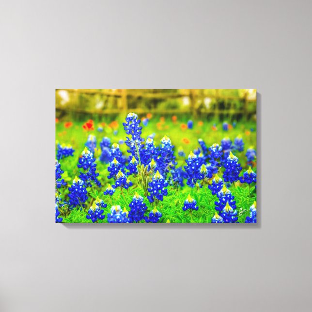 Texas Bluebonnets Field Rustic Blue Wildflowers Canvas Print (Front)