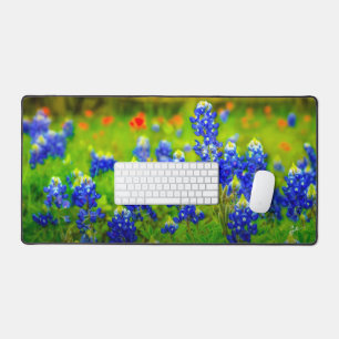 Texas Bluebonnets Fleurs sauvages indiens