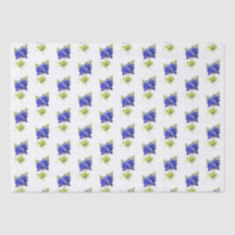 Texas Bluebonnets Flowers,