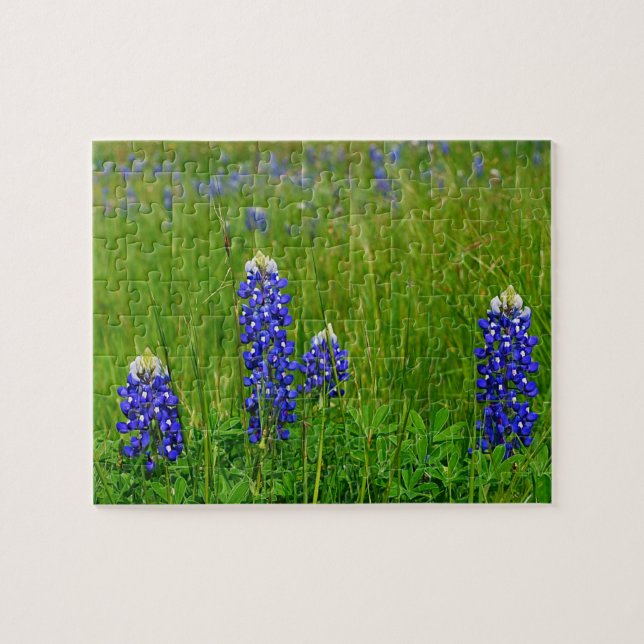 Texas Bluebonnets Jigsaw Puzzle (Horizontal)