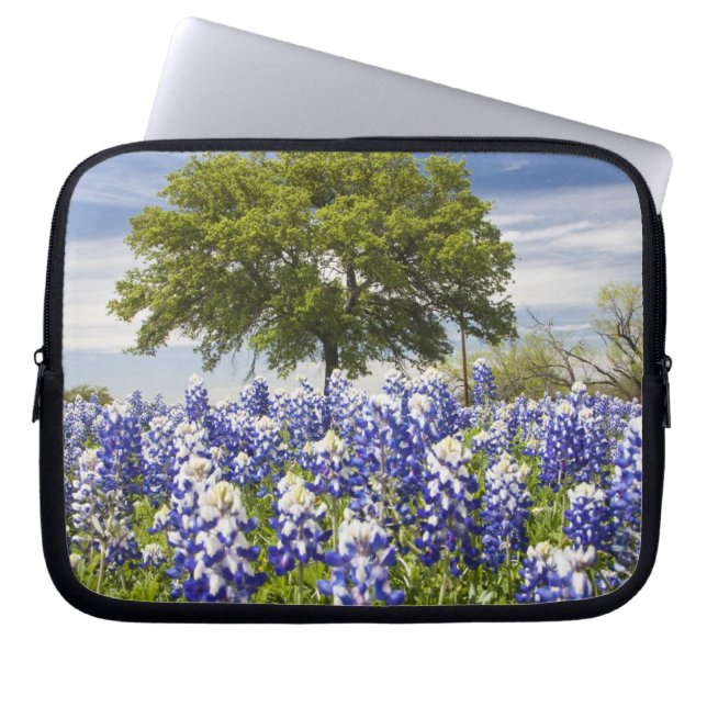 Texas bluebonnets(lupinus texensis) and oak laptop sleeve (Front)