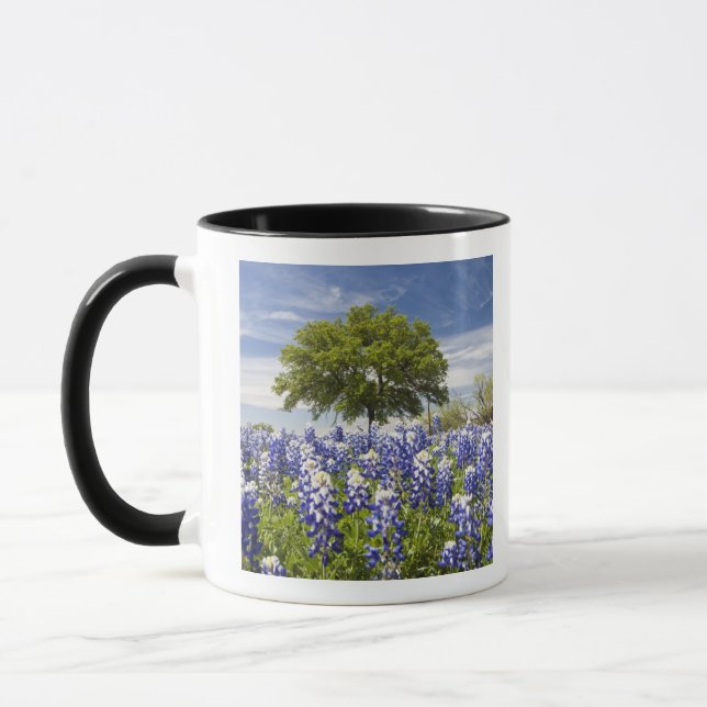 Texas bluebonnets(lupinus texensis) and oak mug (Left)