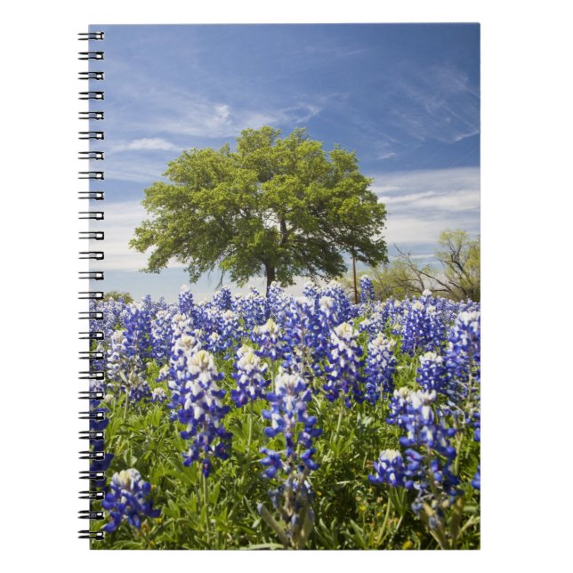 Texas bluebonnets(lupinus texensis) and oak notebook (Front)