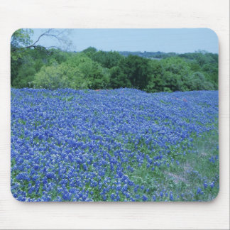 Texas Bluebonnets Mouse Pad