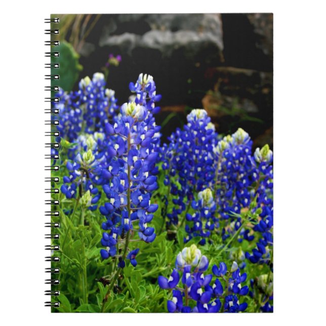 Texas Bluebonnets Note Book (Front)