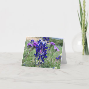 Texas Bluebonnets Notecard