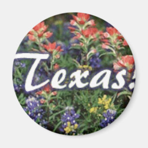 Texas Bluebonnets Paintbrushes Magnet