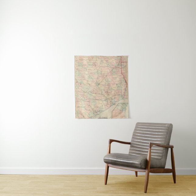Texas, Eastern Portion Tapestry (In Situ)