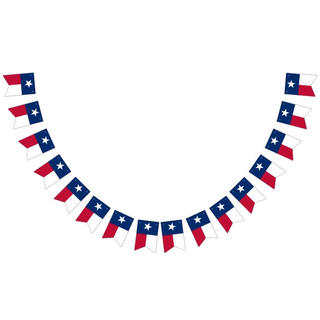Texas Flag (All)