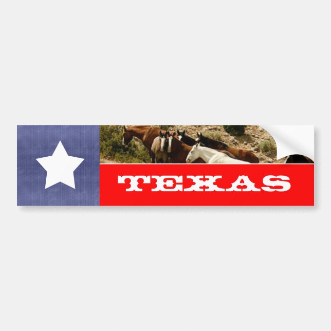 Texas Flag and Horses Bumper Sticker (Front)