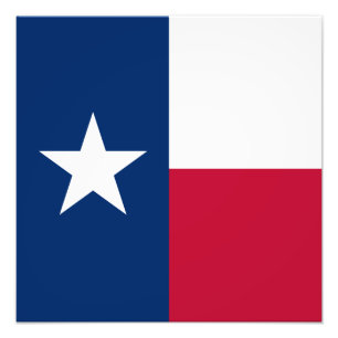 Texas Flag: Longhorns, The Texan Lone Star State Photo Print