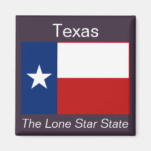 Texas Flag Magnet