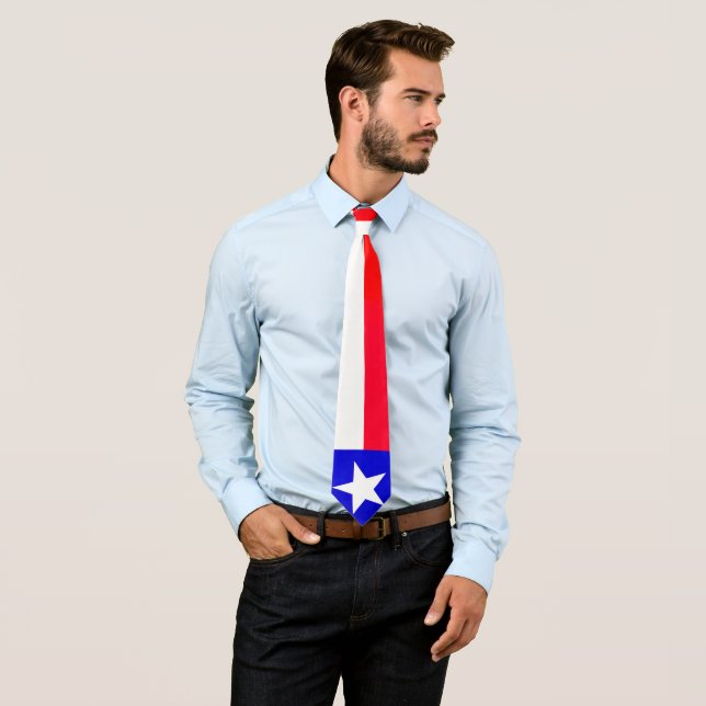  Texas Flag Neck Tie (In Situ)