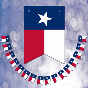 Texas Flag Party, bunting Banners / Weddings