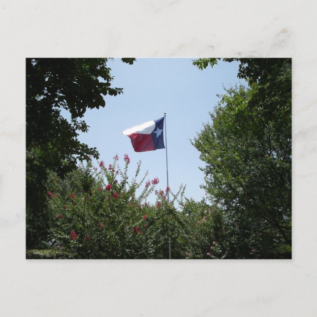 Texas Flag Postcard (Front)