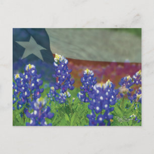 Texas flag with bluebonnets postcard