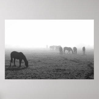 Texas Fog Poster