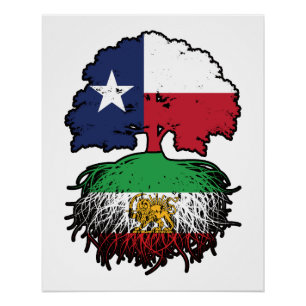 Texas Grown Iranian Roots Lion and Sun Poster