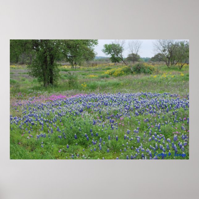 Texas Hill Country Print (Front)