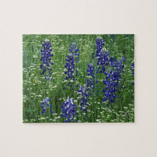 Texas, Lake Buchanan. Texas Bluebonnet and Wild Jigsaw Puzzle