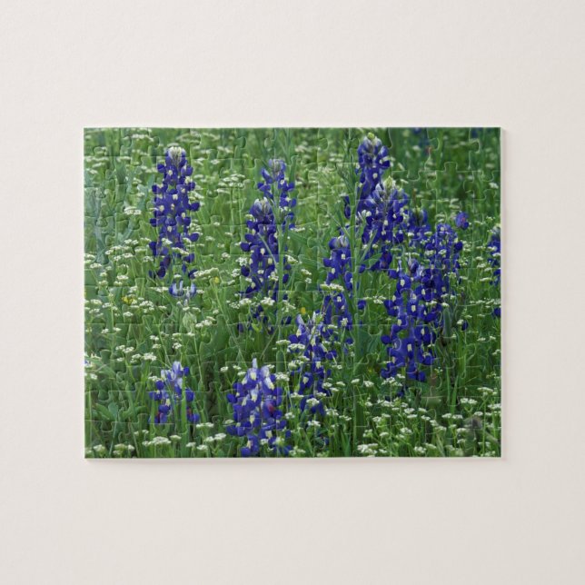 Texas, Lake Buchanan. Texas Bluebonnet and Wild Jigsaw Puzzle (Horizontal)