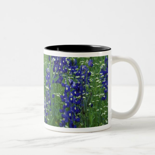 Texas, Lake Buchanan. Texas Bluebonnet and Wild Two-Tone Coffee Mug (Right)