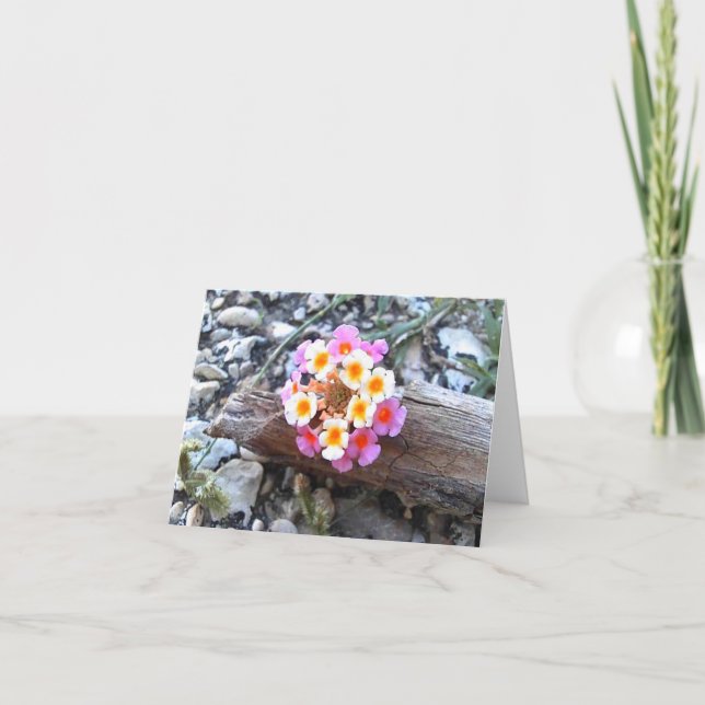 Texas Lantana Flower - Pretty Blank Greeting Card (Front)
