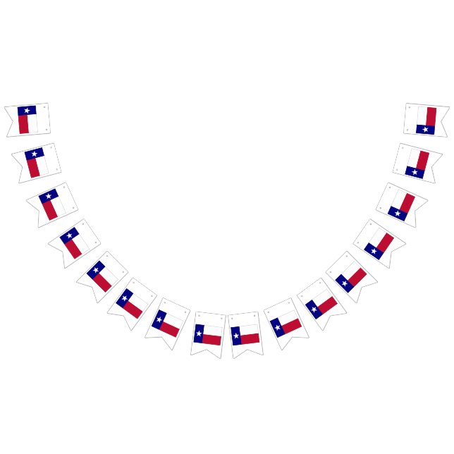 Texas Lone Star Flag (All)