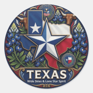 Texas Lone Star Symbols And State Pride ✦ Classic Round Sticker