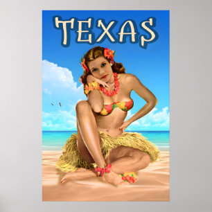 Texas Lone Star Travel Poster Sea Eagle Angourie