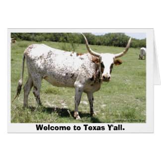 Texas Longhorn, Bienvenue au Texas Y'all.