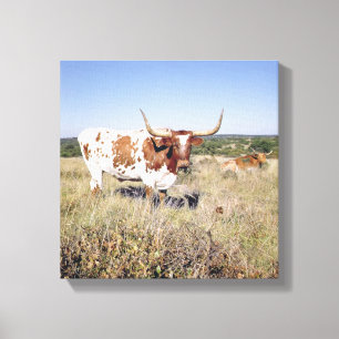 Texas Longhorn Breed (photo) Canvas Print