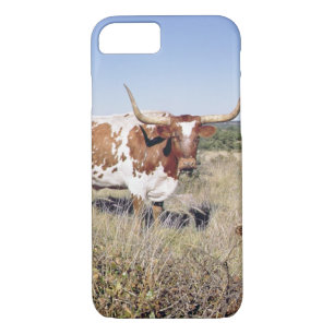 Texas Longhorn Breed (photo) Case-Mate iPhone Case