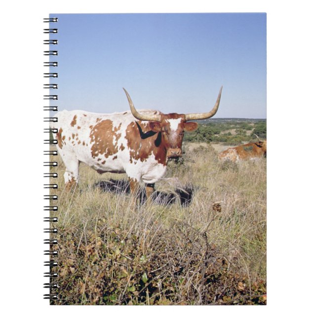 Texas Longhorn Breed (photo) Notebook (Front)