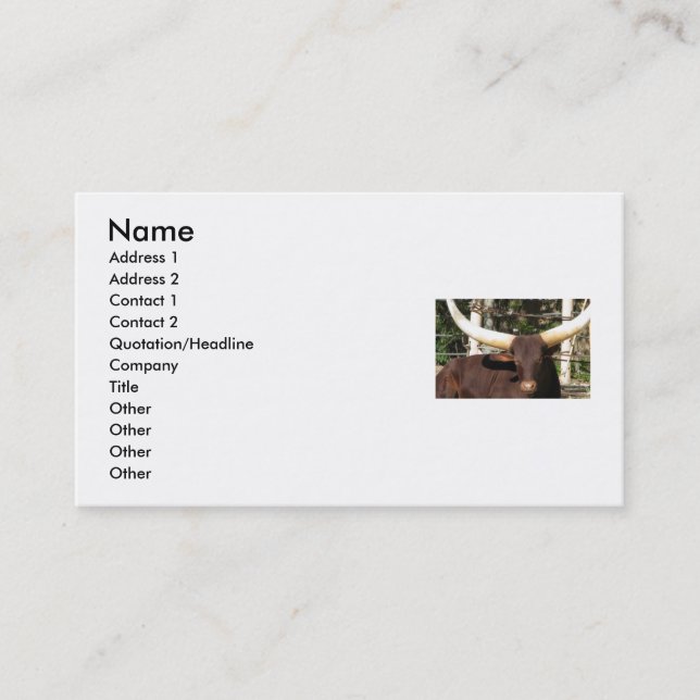 TEXAS LONGHORN business cards (Front)