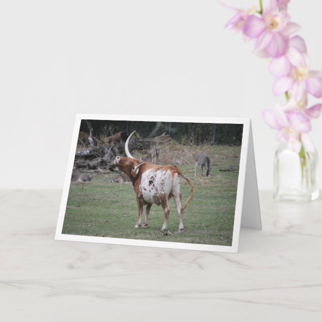 Texas Longhorn Cattle Card (Orchid)