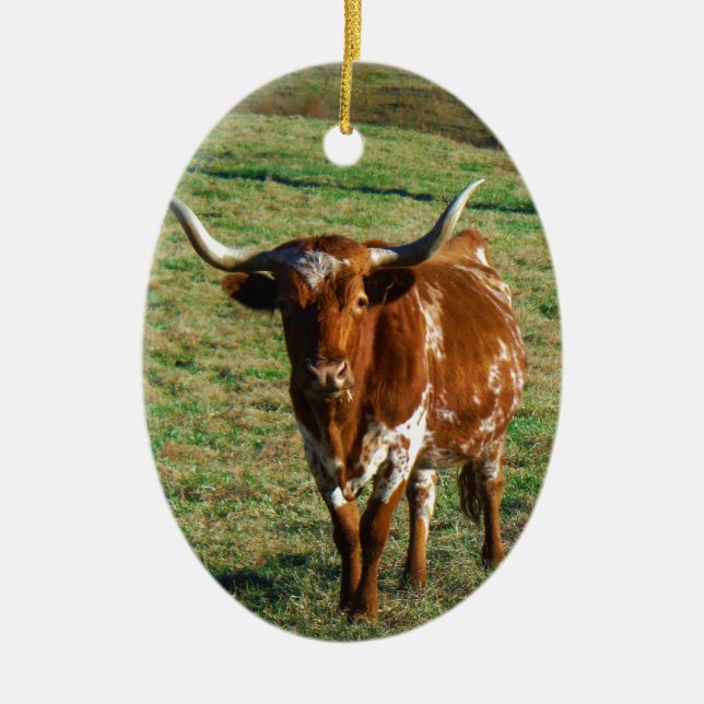 Texas Longhorn Cattle Cow  Photo Rustic Ceramic Ornament (Front)
